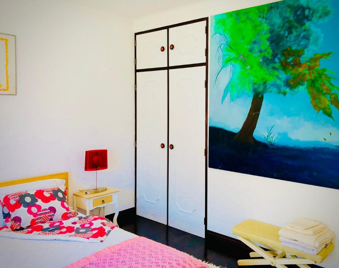 Salir de PortoCasa Do Trevoアパートメント エクステリア 写真