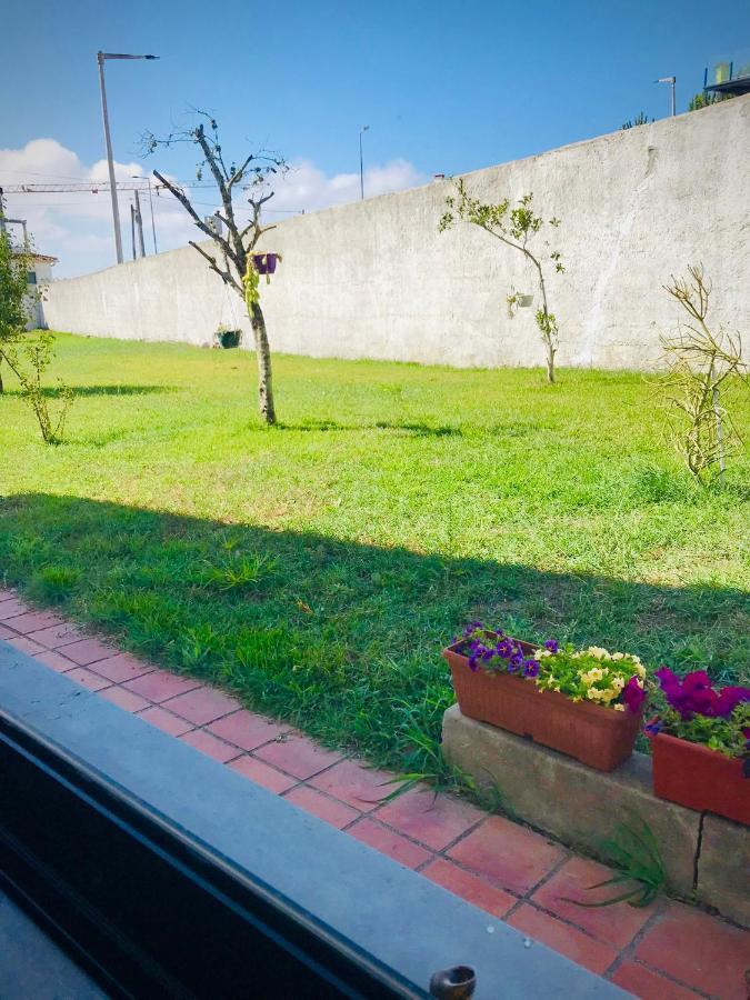 Salir de PortoCasa Do Trevoアパートメント エクステリア 写真
